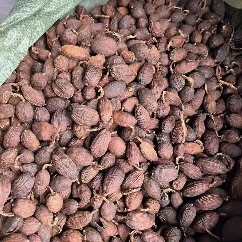 Wholesale Special  Seasoning Dried  Black Cardamom Seeds/Cardamom/Dry Cardamon