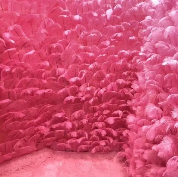 Colored Ostrich Feather Wall Events Photo Backdrop Wall Pink Ostrich Feathers 30~35cm for sale