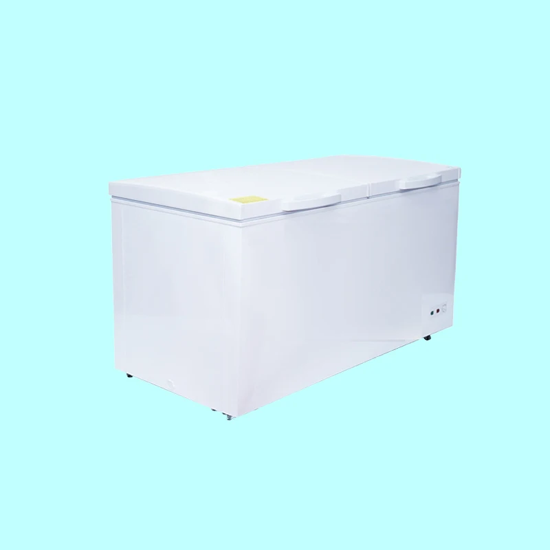Two Door 600L Large Capacity Deep Chest Freezer Commercial Use