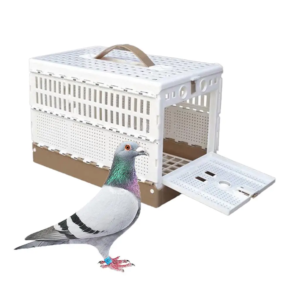 Folding Pigeons Cage Portable Convenient 3-door Homing Pigeons Training Release Cage Replaceable Ground Net Thickened Cages