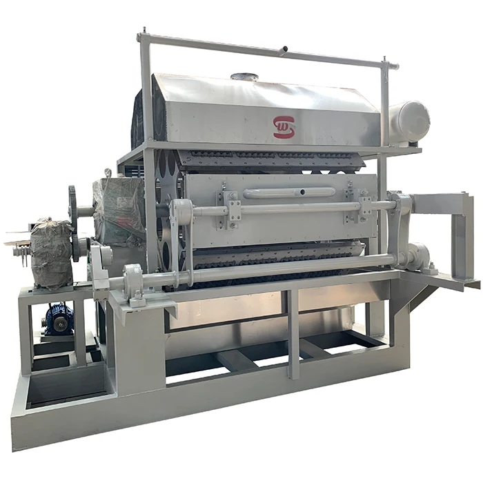4000pcs/hr Automatic Paper Pulp Waste Paper Egg Tray Carton Box Dish Machine For Large Quantity Production Line