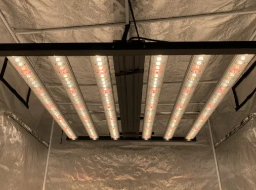 2021 dimmable full spectrum 6 8 10 bars 640 720 800 1000W led grow light for indoor plant greenhouse