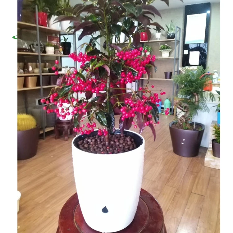 Modern Plastic Decorative medium moist auto watering simple Flower Pots