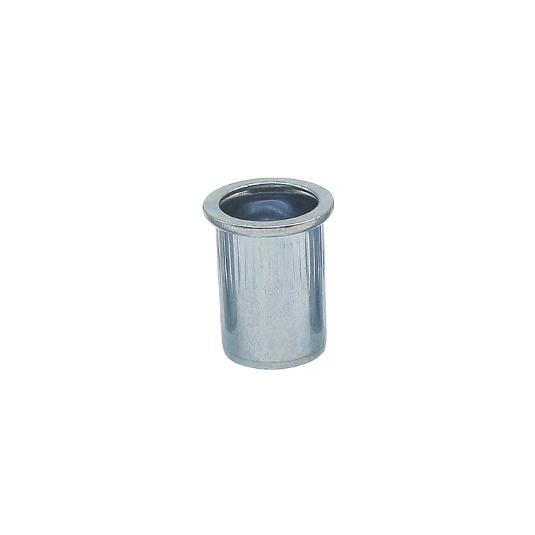 Blue White Zinc Flat Head Nuts Hexagonal Plain Rivet Nuts Steel Brass Stainless Steel Carbon Steel Made High Quality Materials