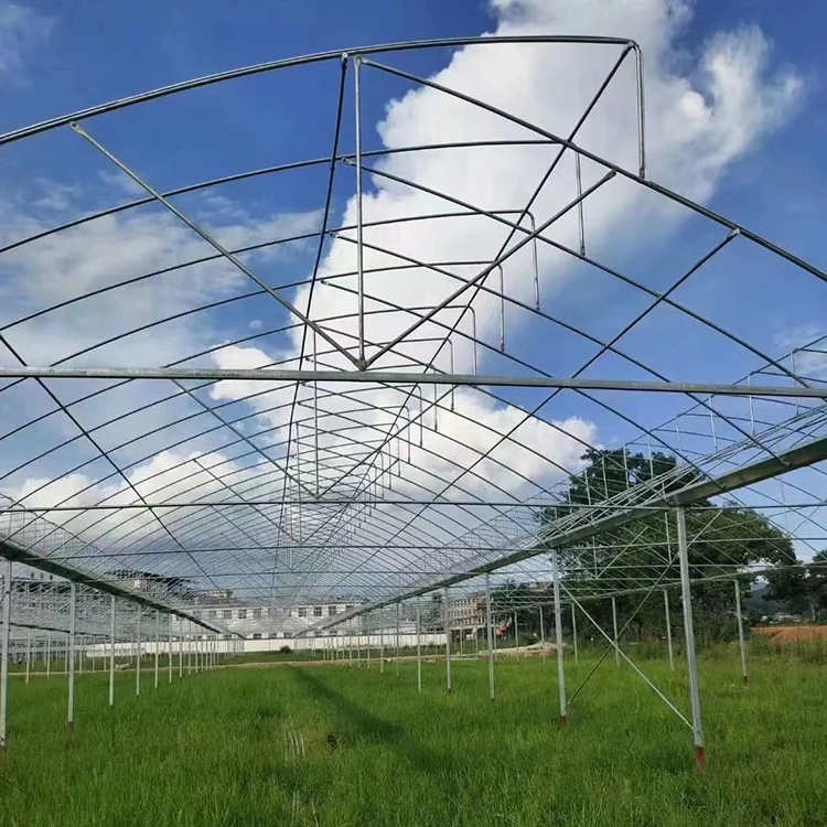 multi span film greenhouse seedling cultivation sightseeing  greenhouse vegetable planting philippine multi span greenhouse