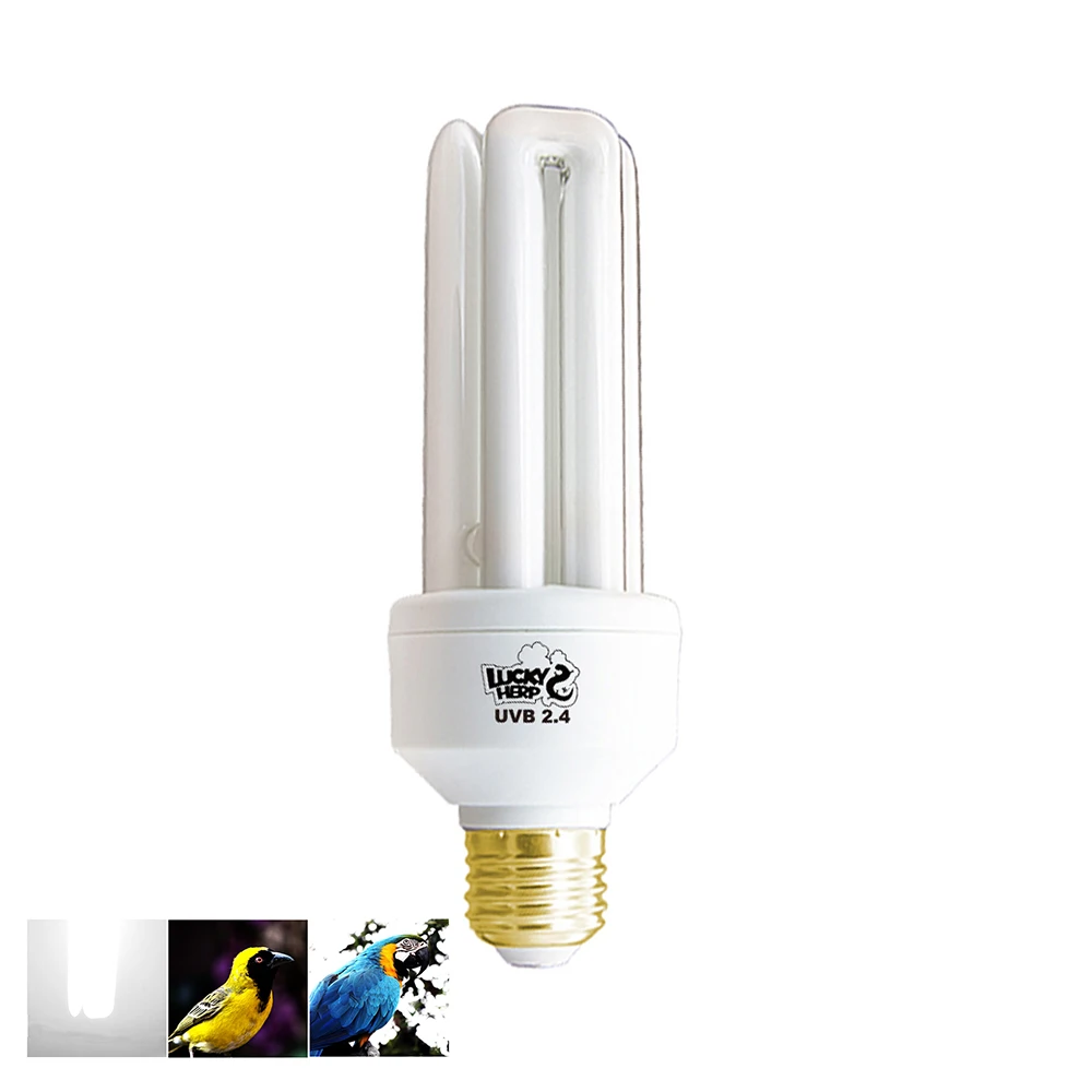 20W Avain Parrot Lighting Bird UVB 2.4% Compact Fluorescent Bulb
