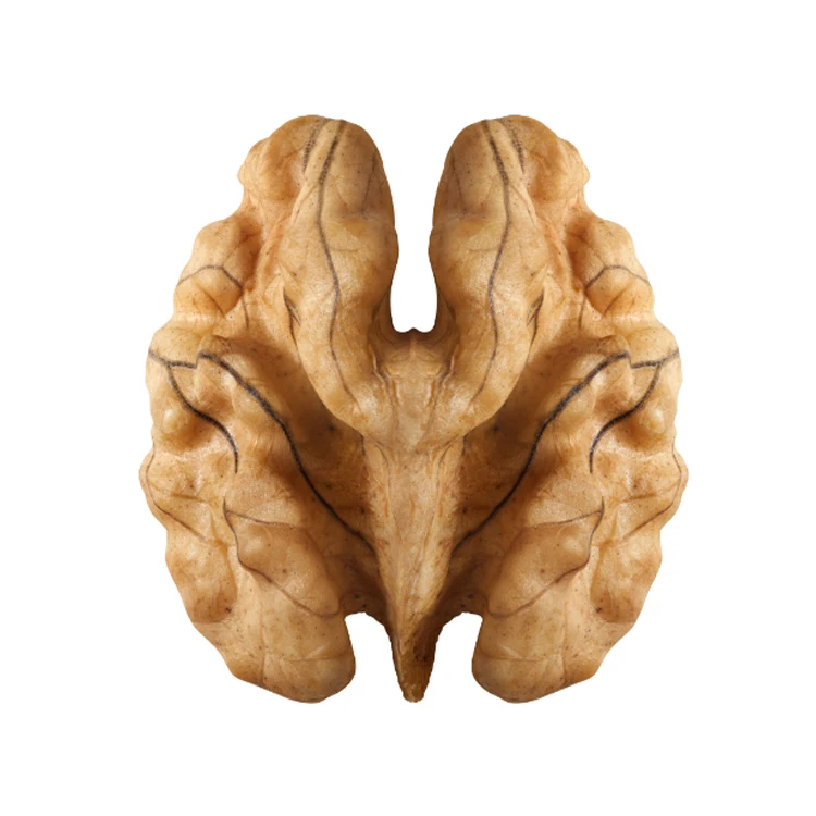 Special Offer Xin2 Thin-skinned Light Half Walnut Kernel Without Shell