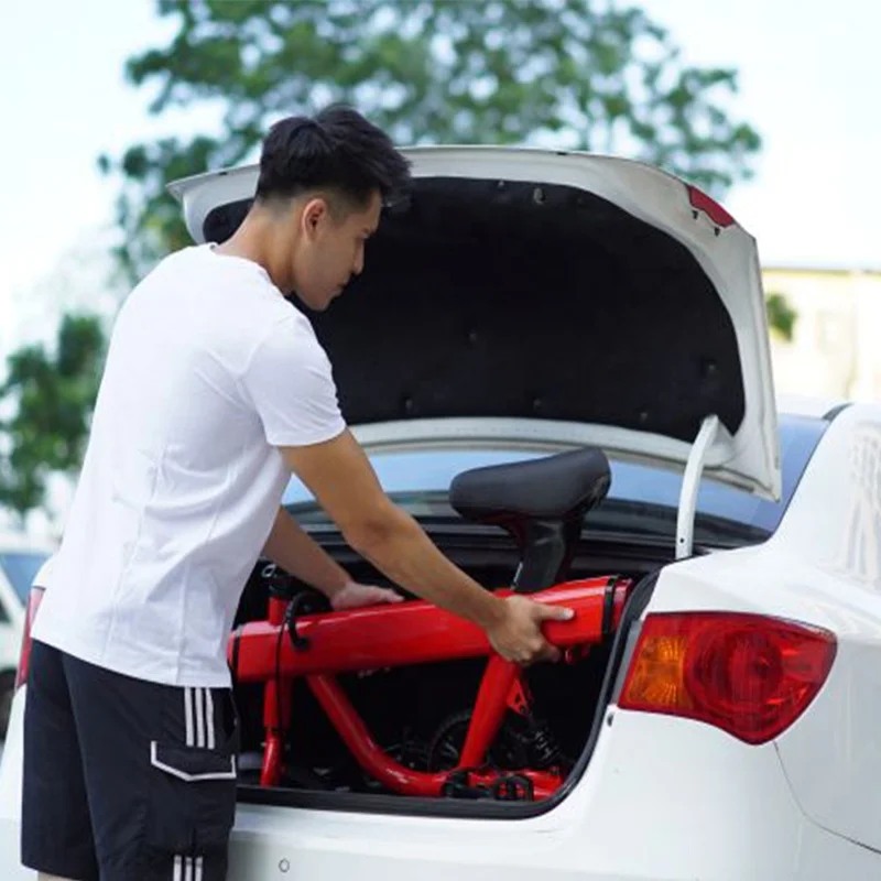 ZBND ODM&OEM FACTORY Chinese Price Display Fly Pink Fat Tire Carbon Fiber Cross Foldable Long Range Powerful Moter Electric Bike