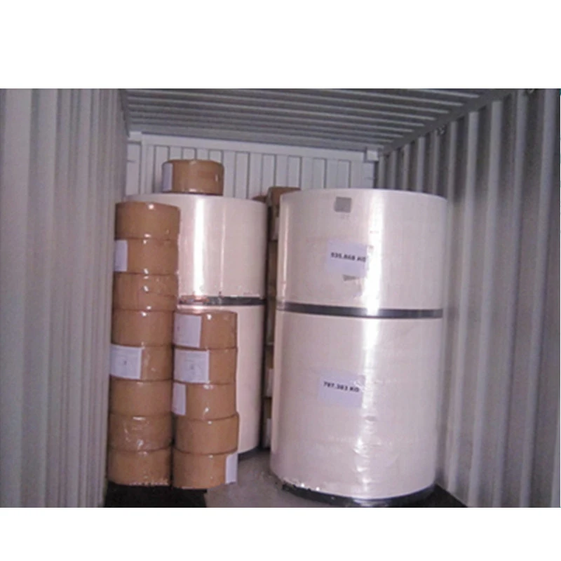 American Virgin Fluff Wood Pulp for Baby Diaper and Sanitary Napkin Raw Materials Chemical Pulp Bleached CN;FUJ