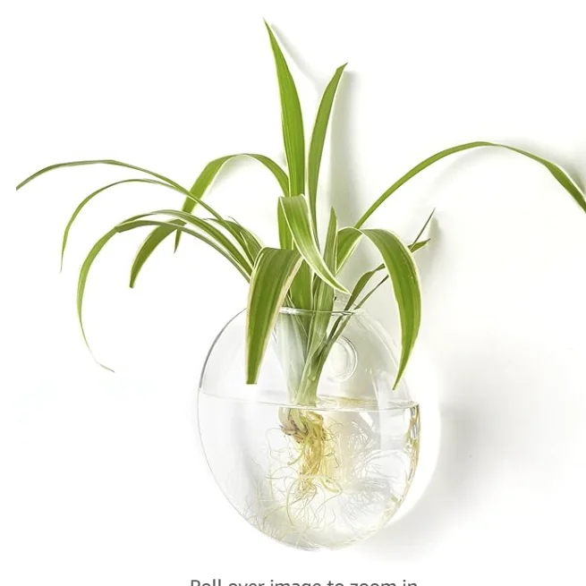 Wall Planter Propagation Stations Hanging Glass Terrariums Vase Container for Propagating Hydroponic Plants Home Office Living