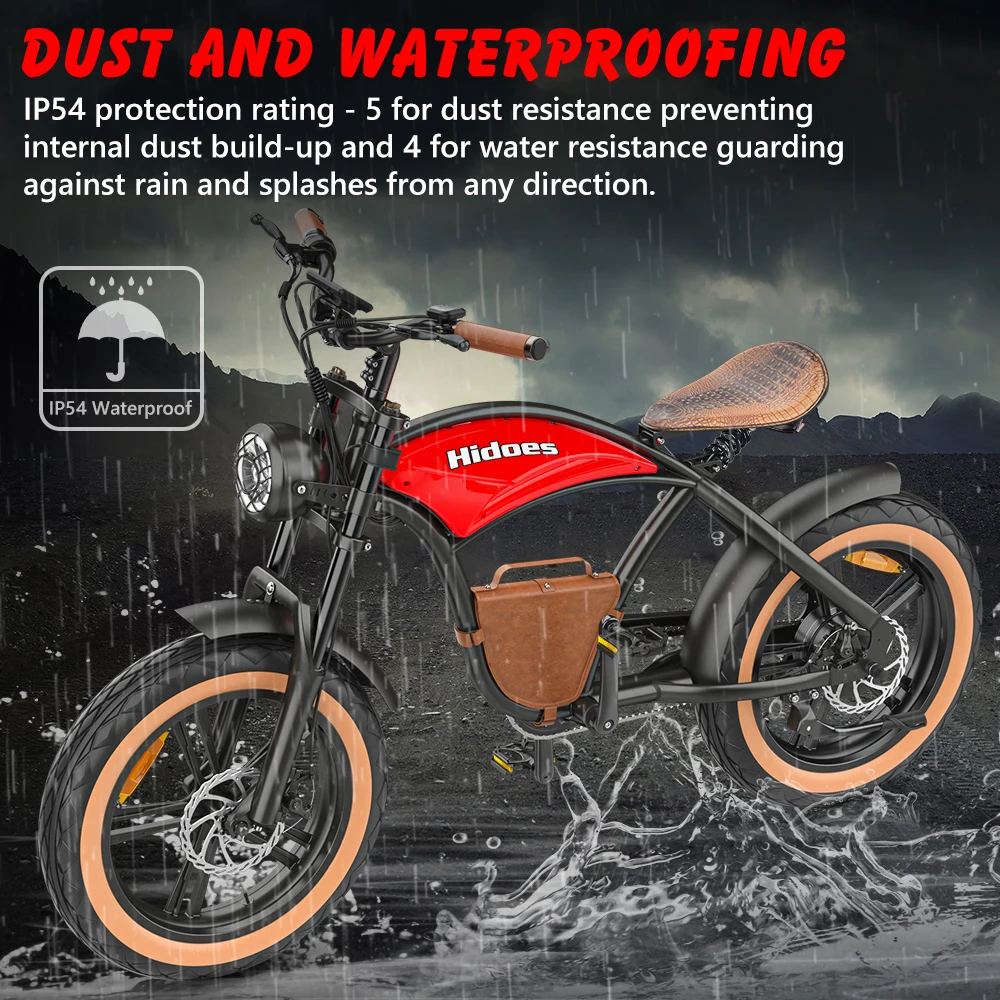 48v 1000w Hidoes B10 Emtb Retro E-Bike Electric Cycle Road Dirt Fat Tire E Bike Ebike Electric Mountain Bike