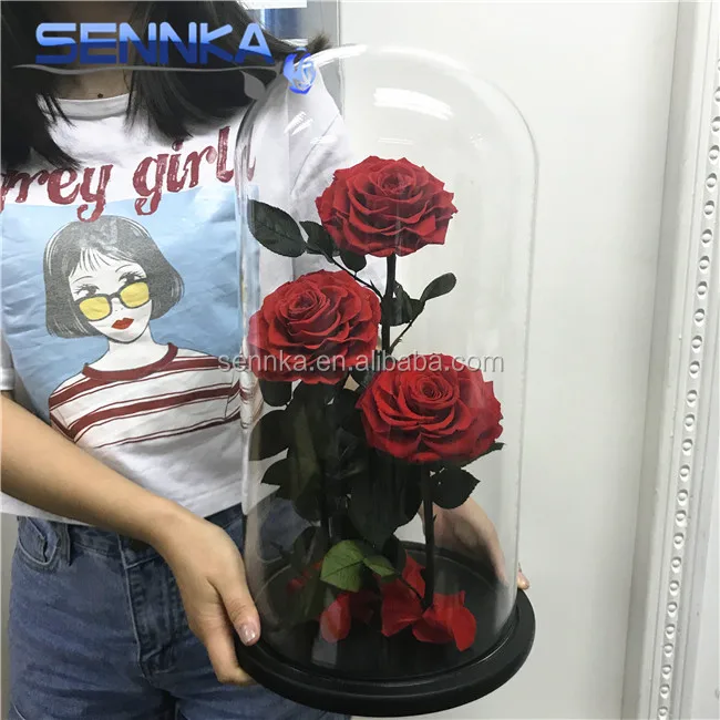 Three Big Preserved Flowers Roses in Glass dome Wedding Decoration