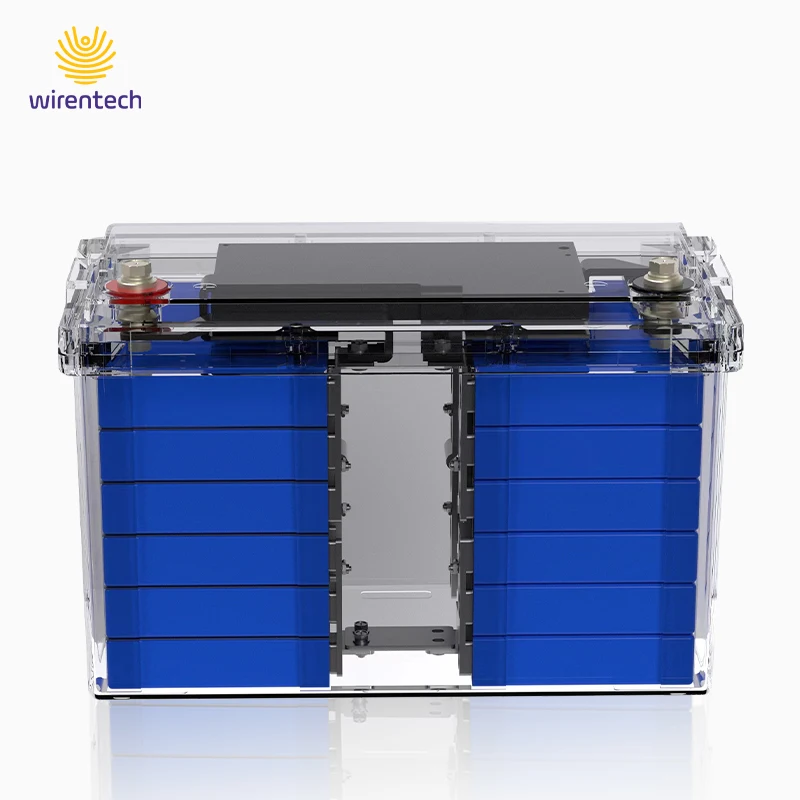 Wirentech 12V 100Ah Transparent Lithium Ion Battery Lead Acid Replacement Lifepo4 Battery Deep Cycle for RV Marine Home