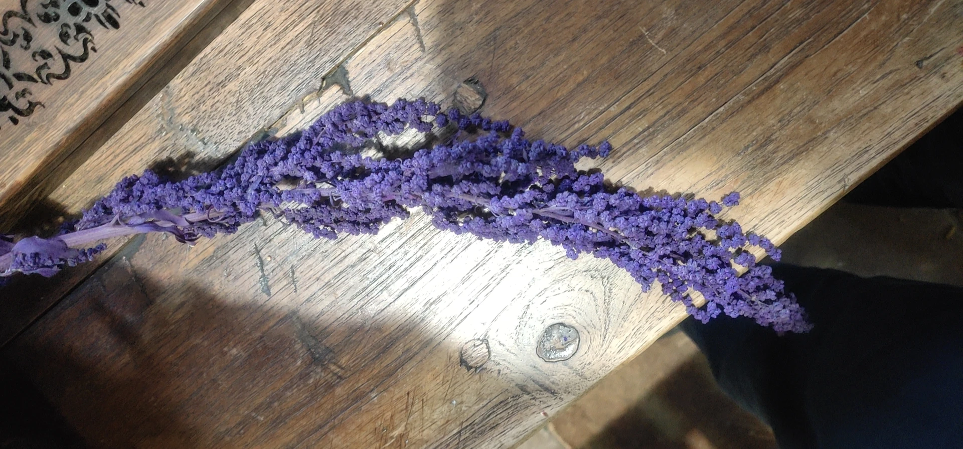 2022 Yunnan wholesale real natural touch flower preserved foliages amaranthus preserved flower