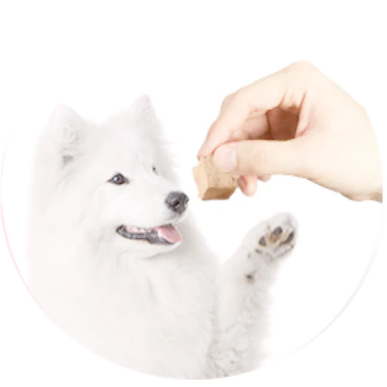 Hunan peto oem dog food natural freeze-dried chicken liver snacks freeze-dried meat dog food manufacturing wholesale price