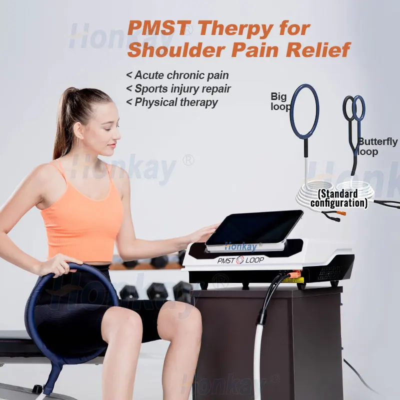 mat PEMF Equine And Human Pain Relief Machine Pulsed Electromagnetic Field PMST LOOP PRO MAX pemf Magnetic Therapy Machine