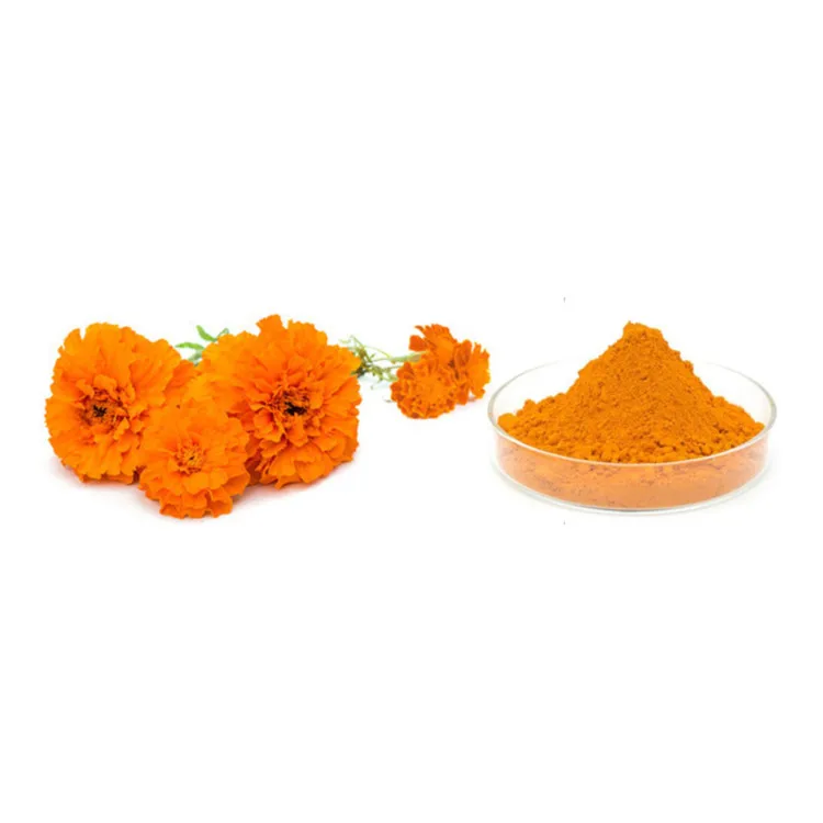 Manufacturer sales natural marigold flower extract lutein powder