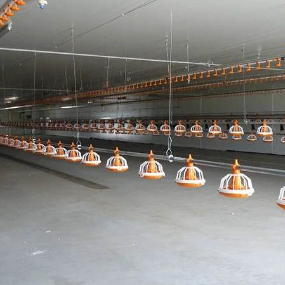 chicken poultry farm structures design/ broiler poultry farm shed design