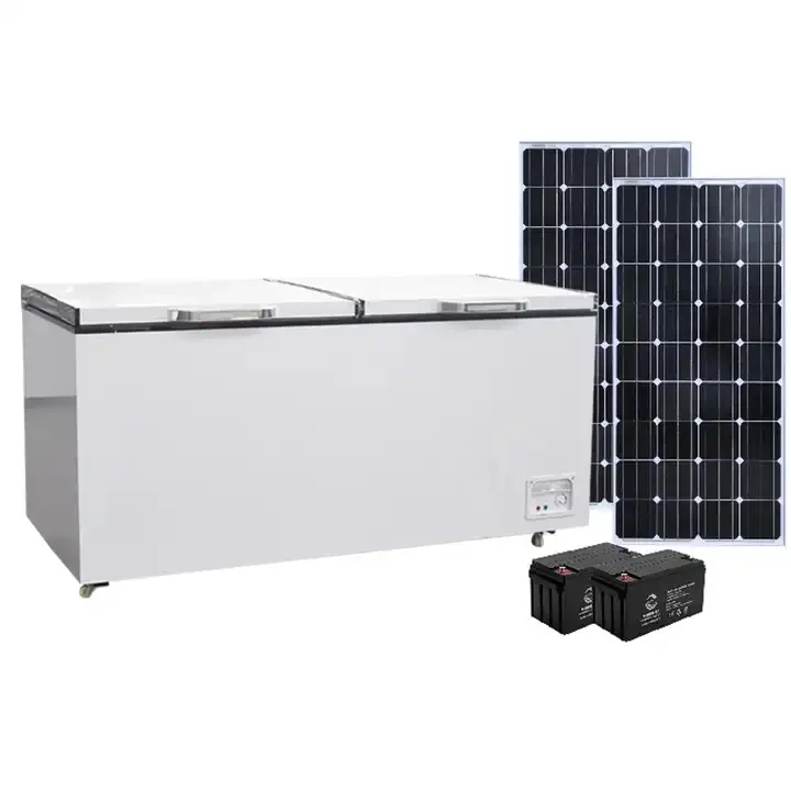 Double Doors Solar Energy 12V Solar DC Energy Saving Deep chest Freezer Fruit and Vegetable Cold Storage Cabinet
