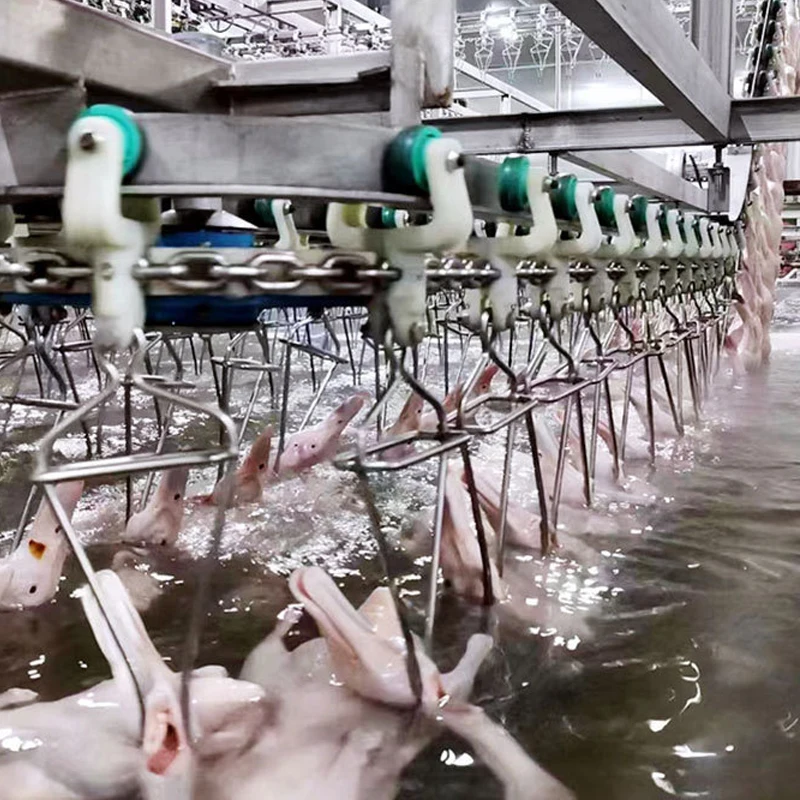 AICN Good Quality Ce Certification Chicken Slaughtering Automatic Production Line For Halal Slaughterhouse Poultry Slaughter