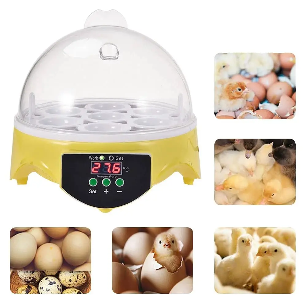 Mini Automatic Egg Hatchery Machine 7 Hatching Eggs Incubators for Chicken Duck Pigeon Quail Egg Incubator for sale