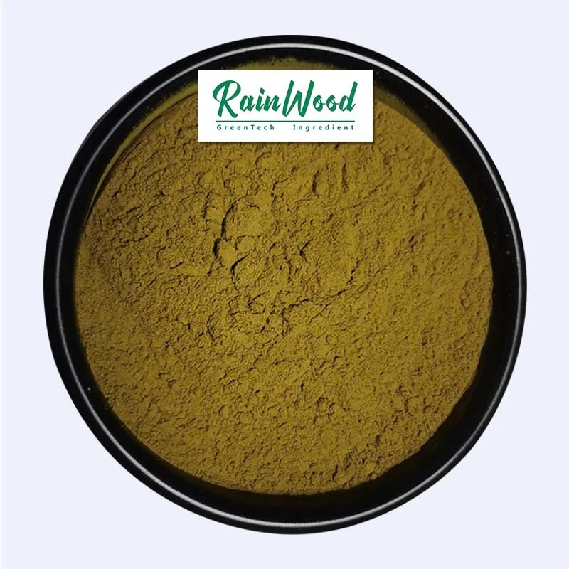 Поставка Rainwood экстракт чайного порошка Oolong Полифенолы 20%-70% высококачественный чайный порошок по оптовой цене и бесплатный образец