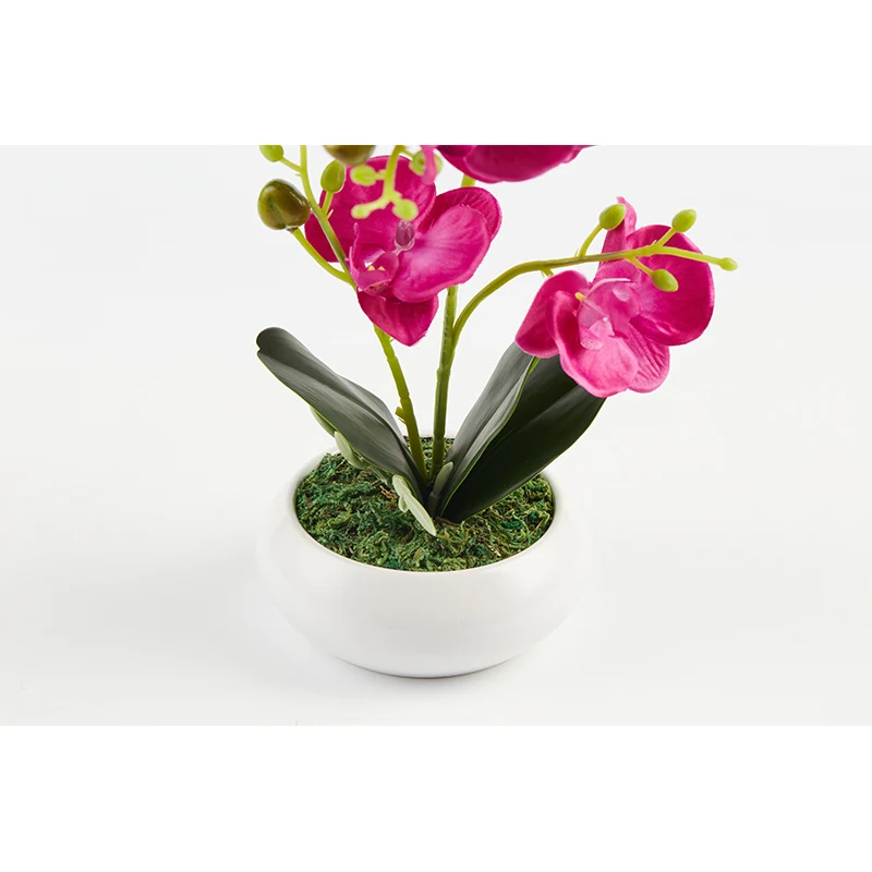  PRIMAISON Artificial Orchid with Ceramic White Vase Indoor Decor Table Decoration plastic Plant Pot
