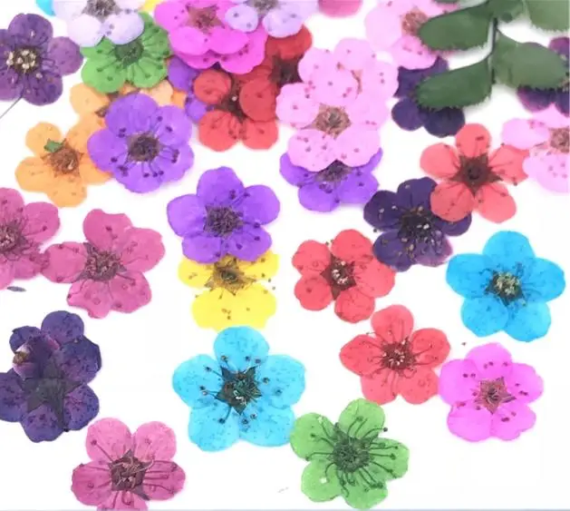 Hot selling wholesale custom trendy high quality flowers pattern nail stickers decal