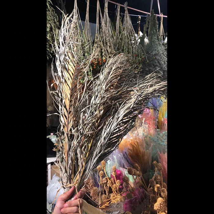 factory Direct price dried  flower preserved decorative palm leaf natural real dried palm leaves for home decor