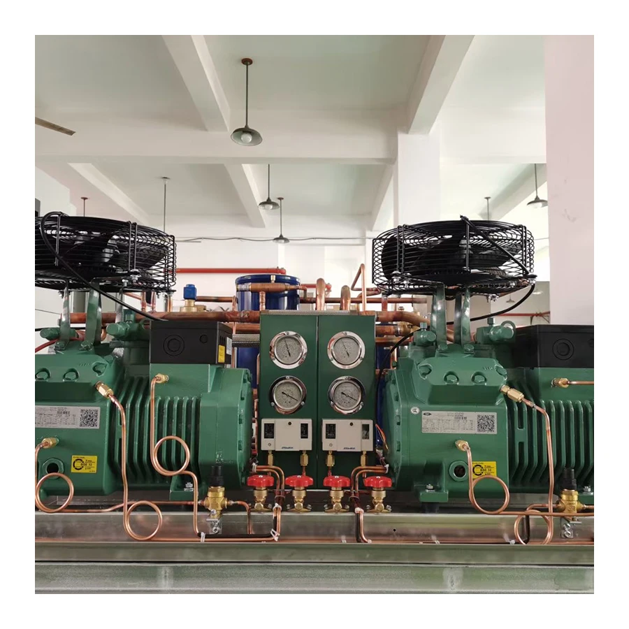 Refrigeration Air Cooled Cooling Compressor Condensing 2HP 3HP 10HP 15HP 40HP Cold Room Condersor Unit
