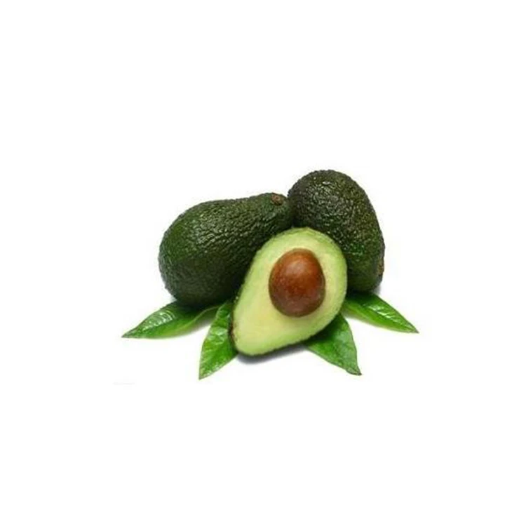 
Best Quality Fresh Mexican Hass Avocado Fruit 