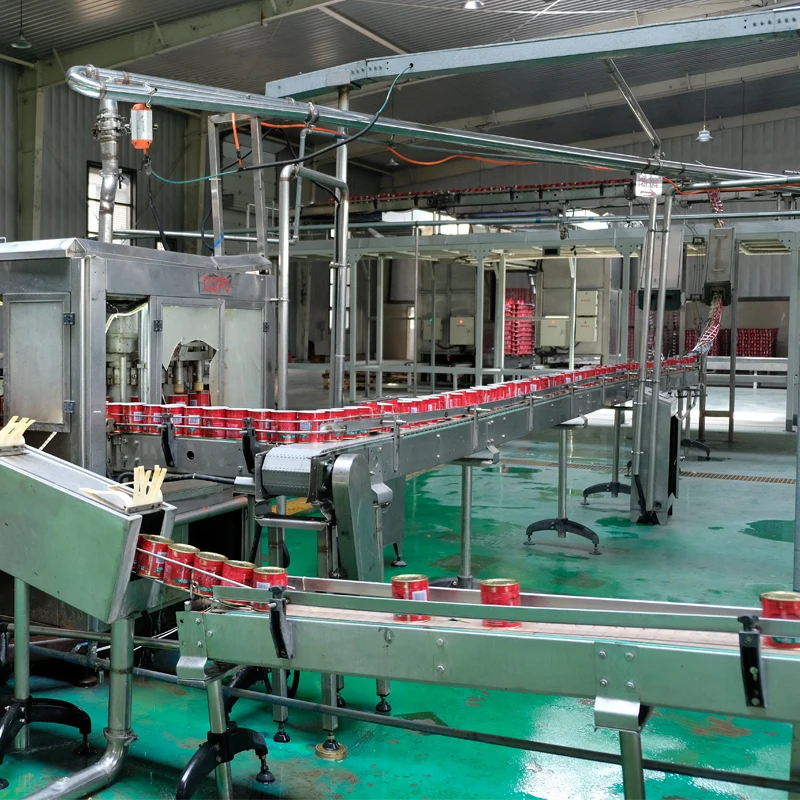 Double Concentrate Canned High Fresh Quality Tin Tomato Paste supplier brix 28-30%