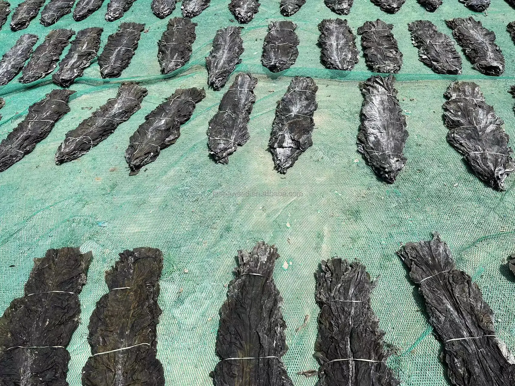 China Wholesale Laminaria Japomica Kelp Sheet Algae Kombu