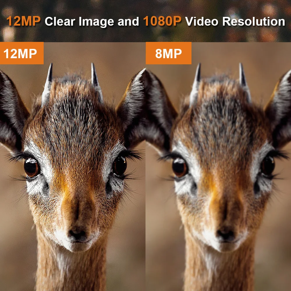 Set-Free !!!  8MP Digital Camera Waterproof Wildlife Camera  940nm No Glow Hunting Game Camera