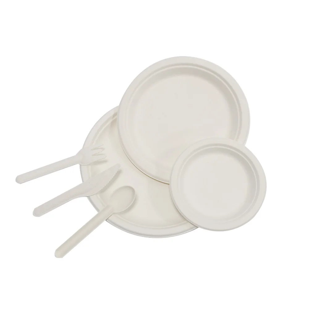 Best selling Sugarcane Pulp paper plate Dish Bagasse Tableware Eco Friendly disposable Biodegradable Bagasse Paper plate