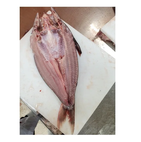 High quality Frozen Pangasius/ Basa fish butterfly Best Price