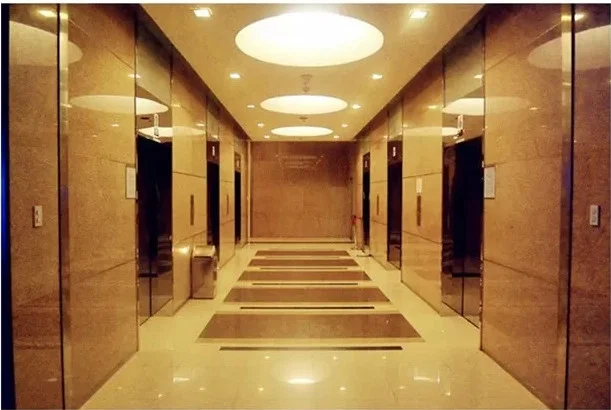 8 Floors Residential Elevators VVVF Glass Type Gearless Traction Complete lift