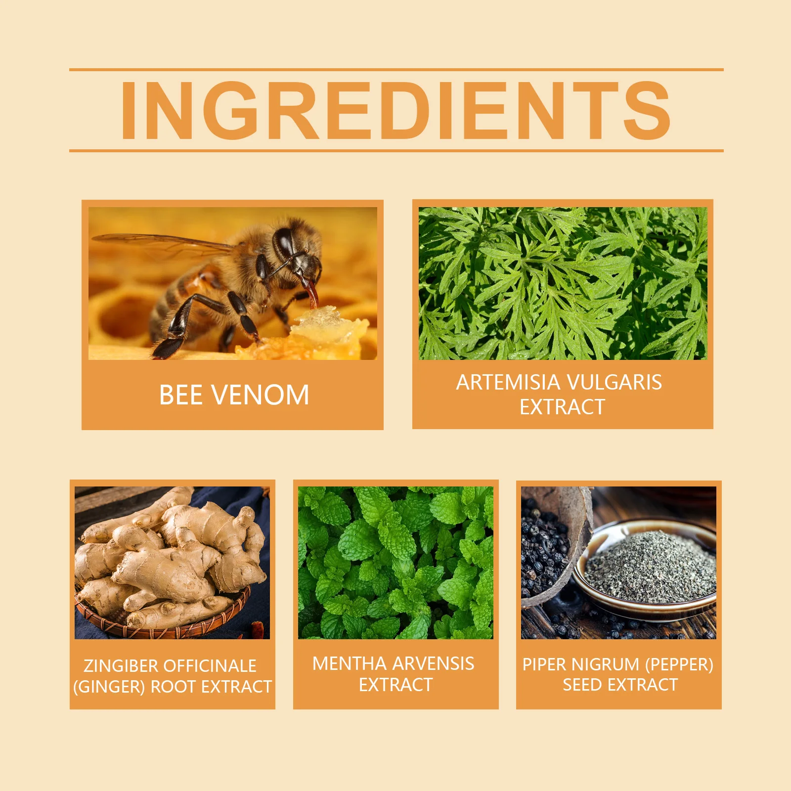 XIMONTH Bee Venom Body Patch for Slimming & Detox Health Care Shape Beauty & Personal Care Product