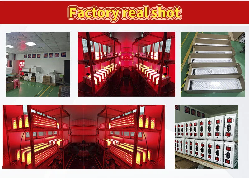 Red Skin Led Physical Therapy 660Nm 850Nm Pain Relief Device Anti Aging Head And Face Panel Lamp Light For Face Neck Pain Reli