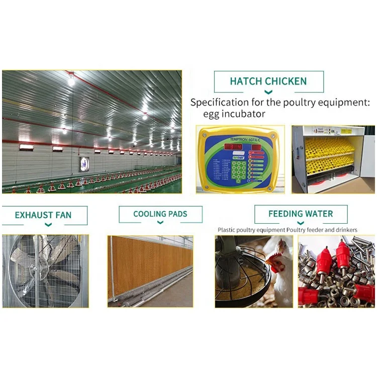 Fabric cover structure modern prefabricated steel structure building mechanized poultry farming