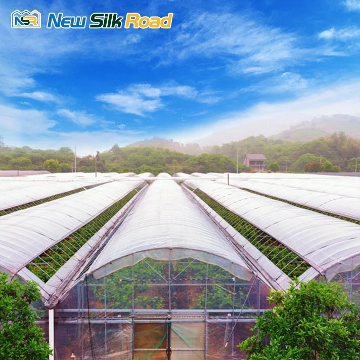 NSR Greenhouse Multi-Span Economical Plastic Tunnel Orangerie Greenhouse For Sale