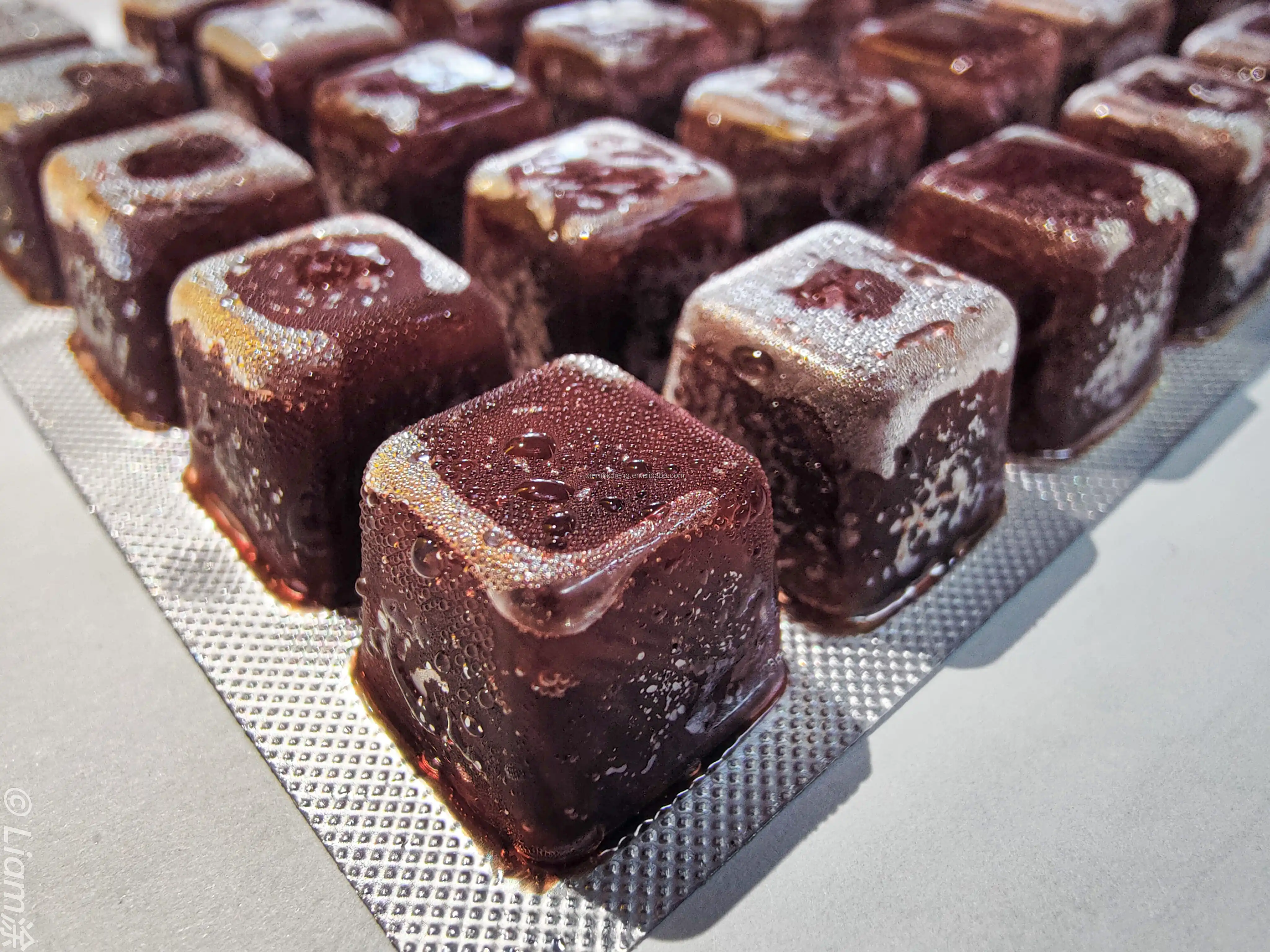 Support customized high-nutrient and high-protein Frozen Bloodworms for fish