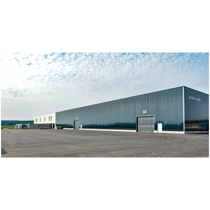 Factory Manufacturer Prefabricated Warehouse Workshop Steel Build Prefab Factory Structure