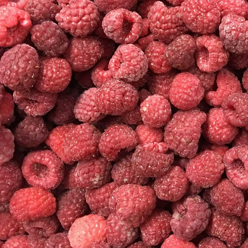 Wholesale Frozen Fruit Frozen Raspberries Price