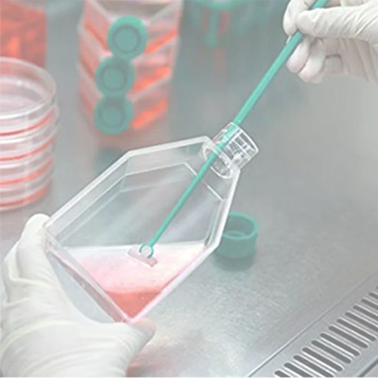 NOKE LAB sterile disposable cell culture flask