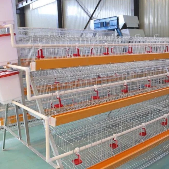 good quality chicken layer battery cage for 96 128 160 birds