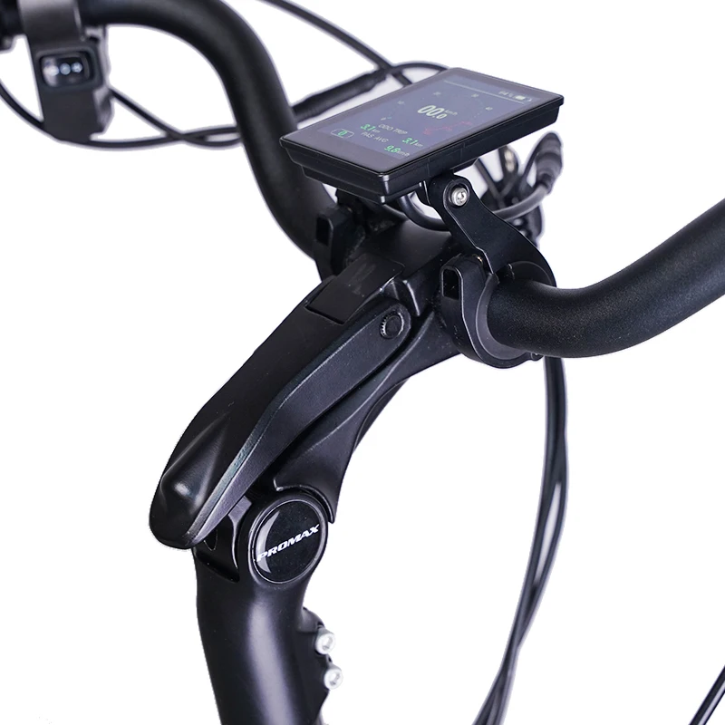 Cheap 36V 250W 10AH Lithium-ion Battery City e Bicycle Commuting e bike E Bike