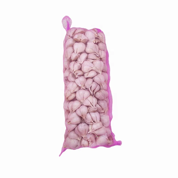  Garlic fresh normal white garlic high quality low price packing mesh net bag for