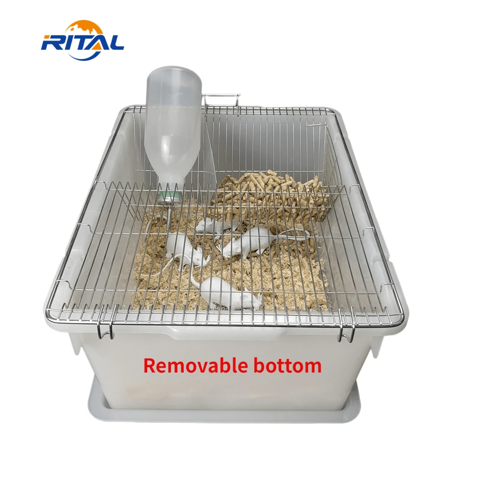 pp tub mouse breeding laboratory cage rat breeding cage with Removable bottom