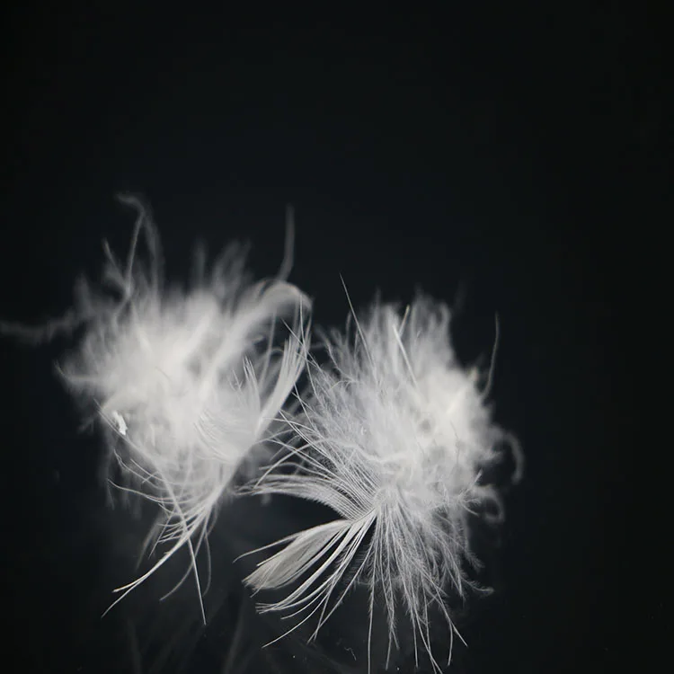 
hot sale Natural High Filling Power 5% Down White Goose Feathers Down 